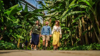 Tour guide and two visitors exploring Rainforest Biome